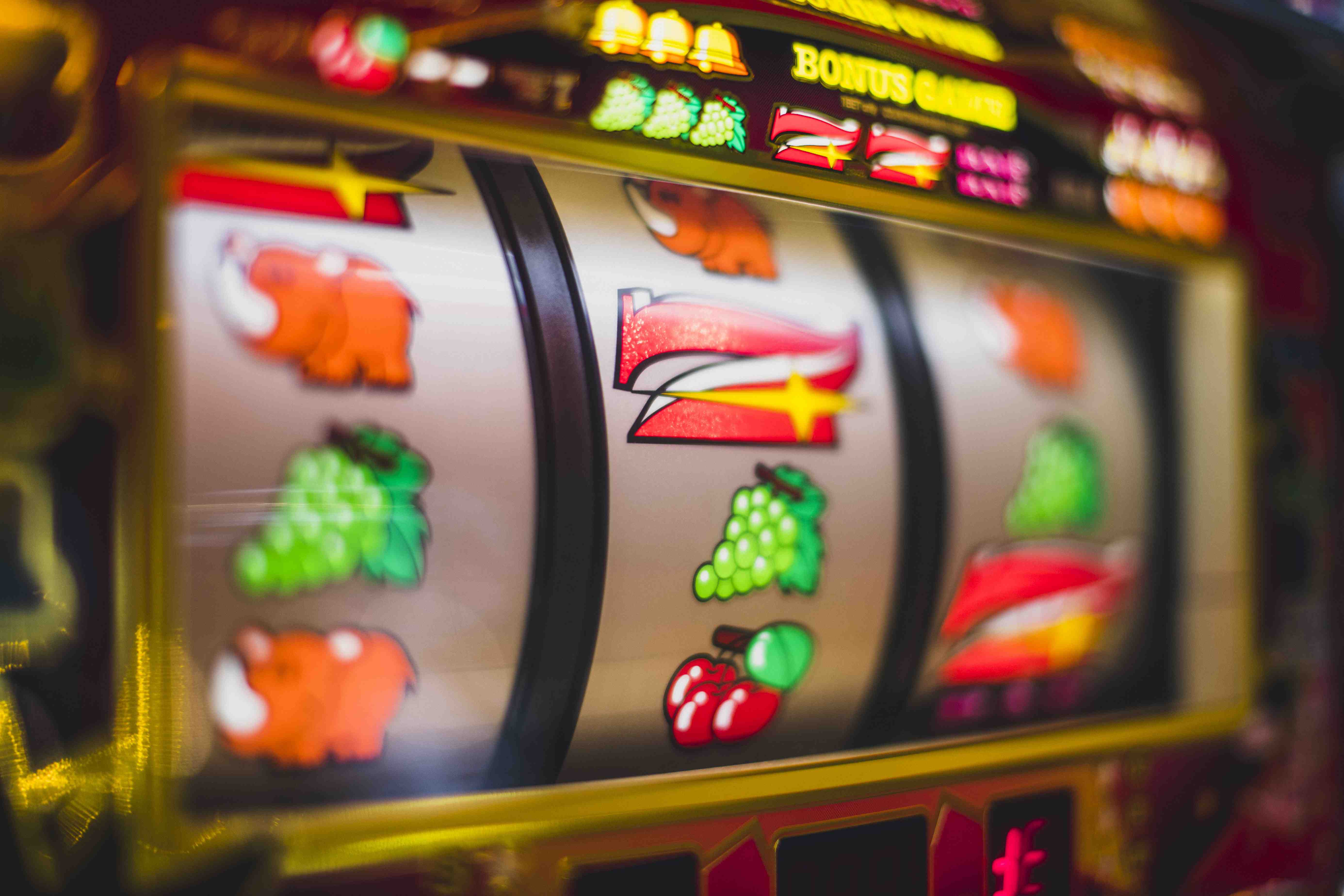 betflik 555