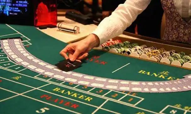 betflik 555