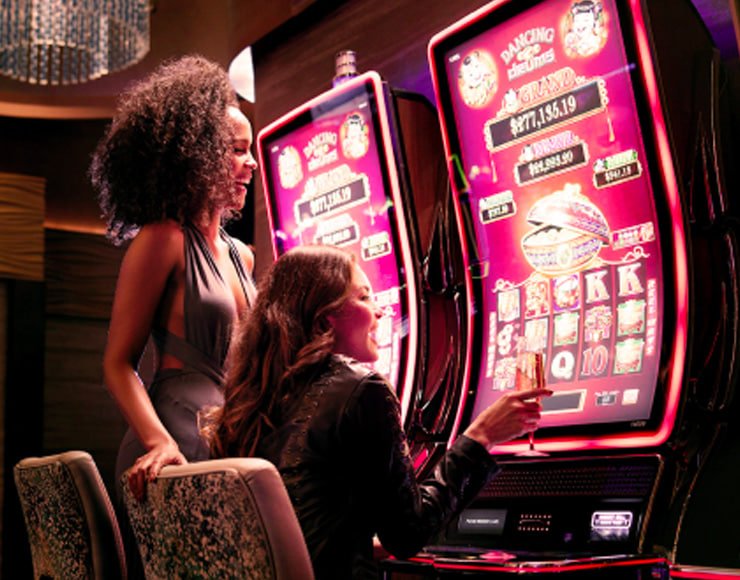 betflik 555