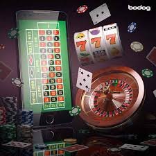 betflik 555