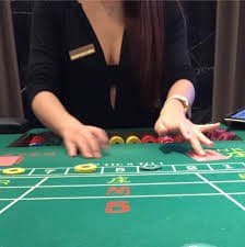 betflik 555